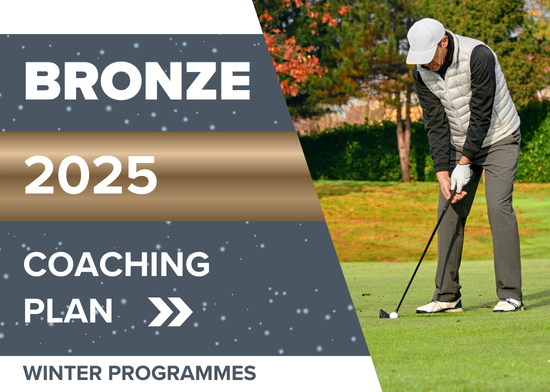 Picture of Bronze Subscription